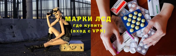 спайс Ельня