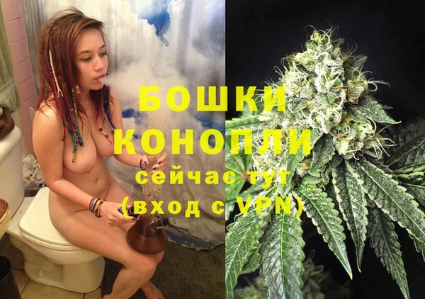 метадон Елизово