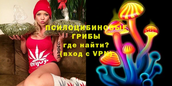 спайс Ельня