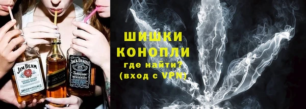 спайс Ельня