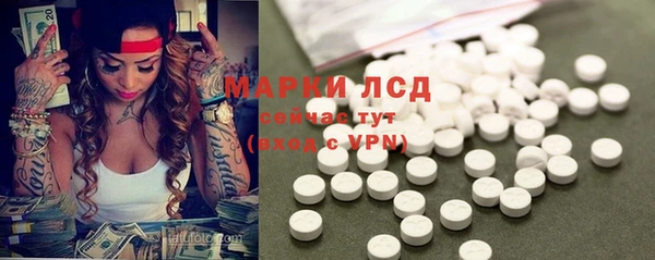 спайс Ельня