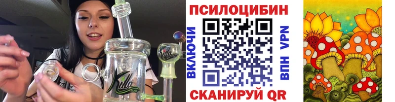 Псилоцибиновые грибы Psilocybine cubensis  Волгодонск 